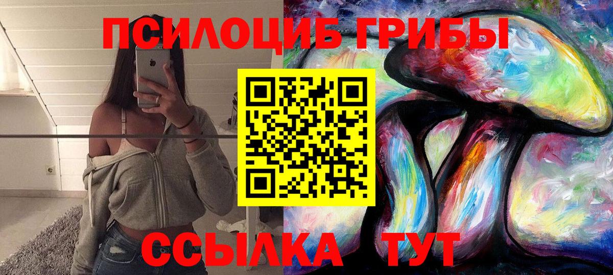 купить закладку  Вход с VPN  Майский  Галлюциногенные грибы Psilocybe 