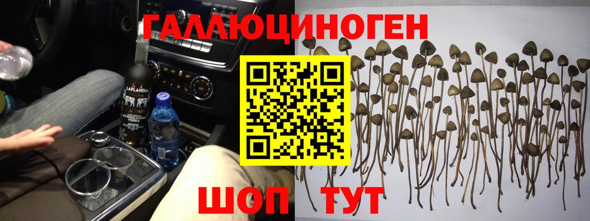 Псилоцибиновые грибы мухоморы Майский